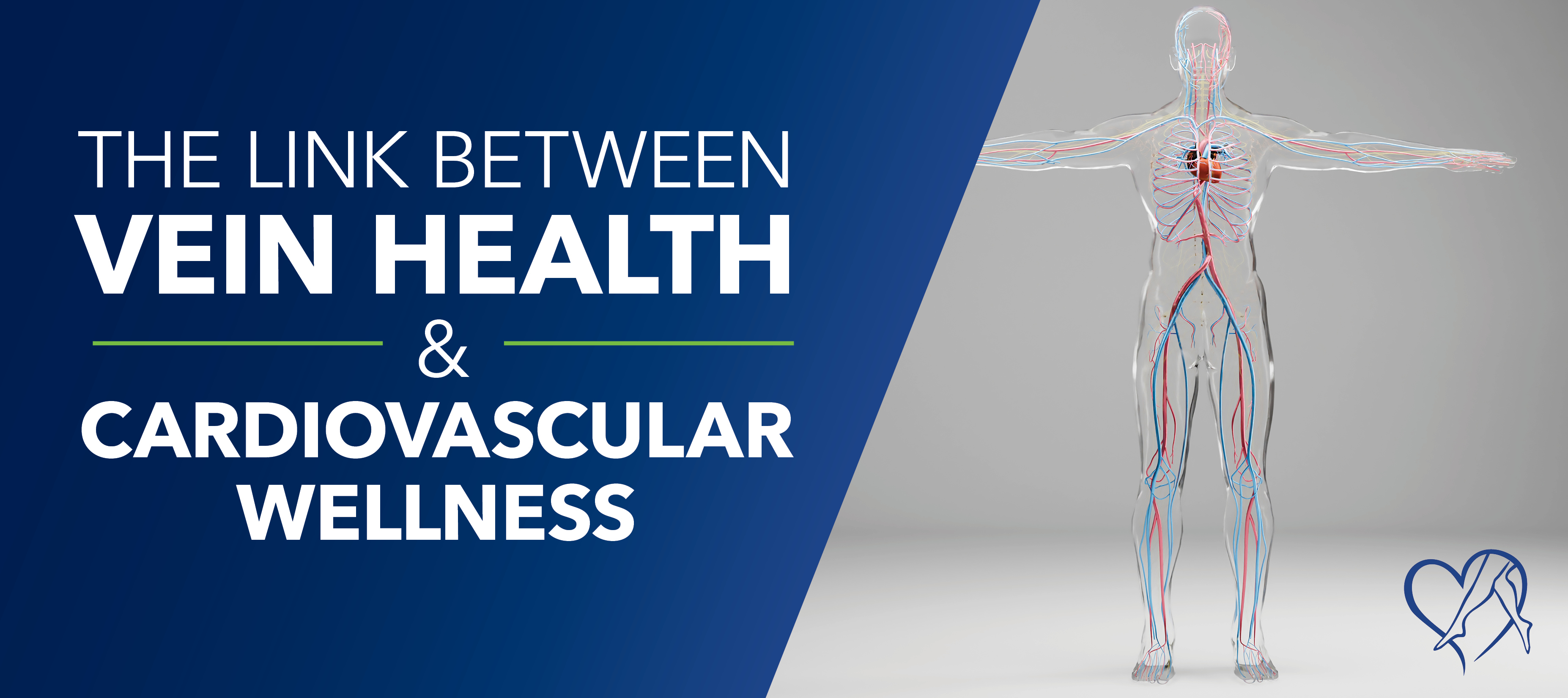 Blog Vein Health Cardio Wellness
