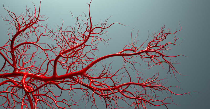 do cigarettes constrict blood vessels Does Smoking Your Vessels? The Vascular Quality Initiative -