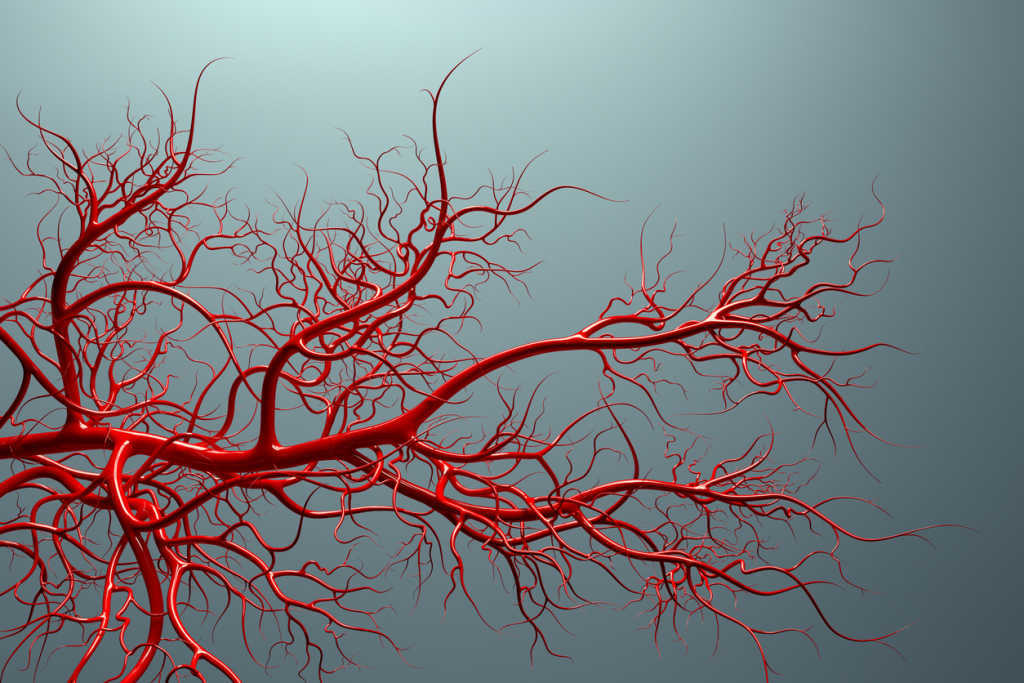 cigarettes and veins Here's How Smoking Impacts Your Vein Health