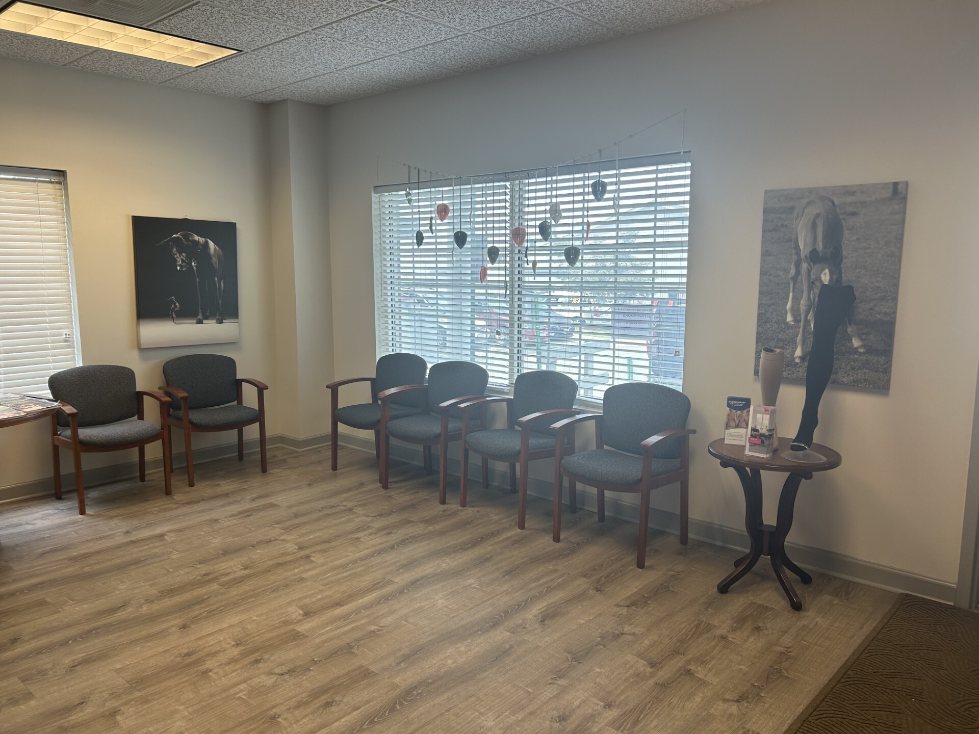 Foto interior de la ubicación en Purcellville, Virginia, del Center for Vein Restoration que muestra el área de espera.