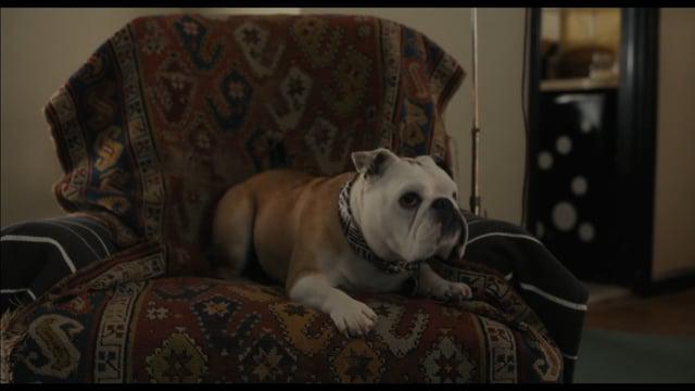 Clip: Ohio Blue Tip Matches