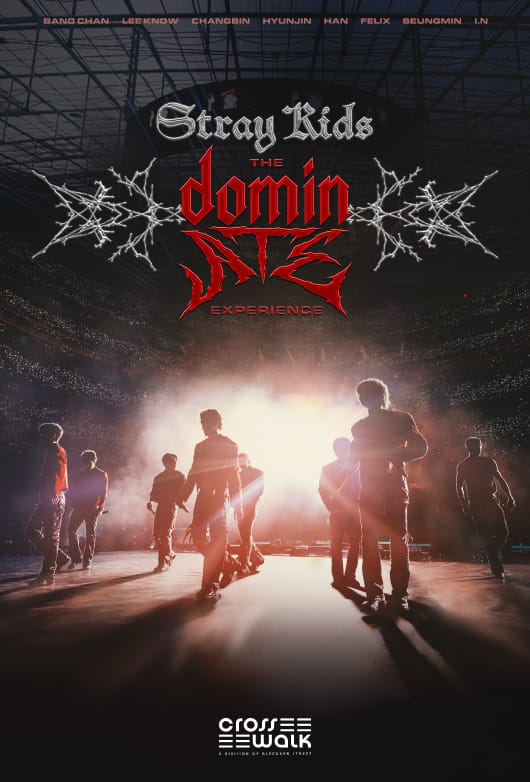 STRAY KIDS : THE dominATE EXPERIENCE