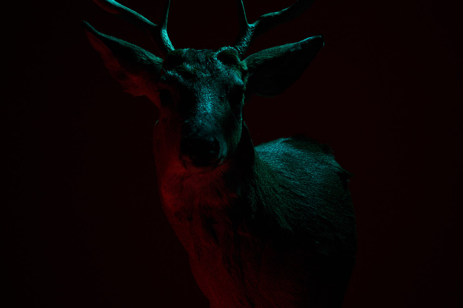 Luke Clark