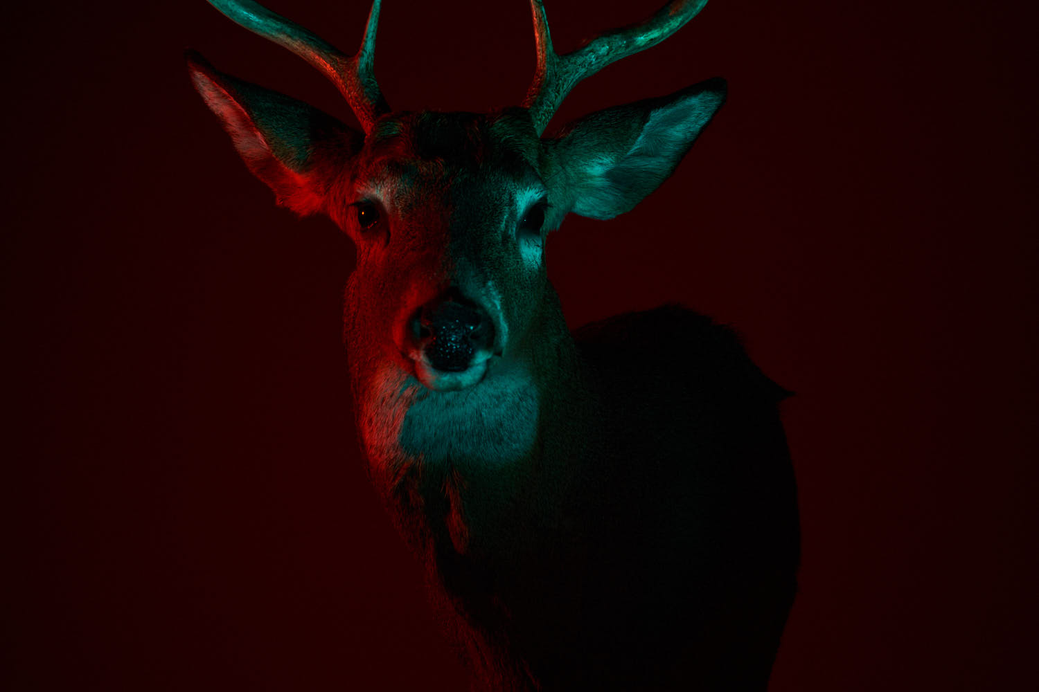 Luke Clark