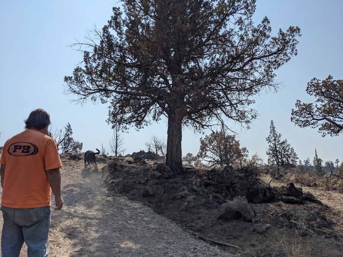 A Hmong American farmer wearing an orange t-shirt with his back turned, facing a field with trees in Siskiyou County.