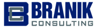 BRANIK CONSULTING INC*