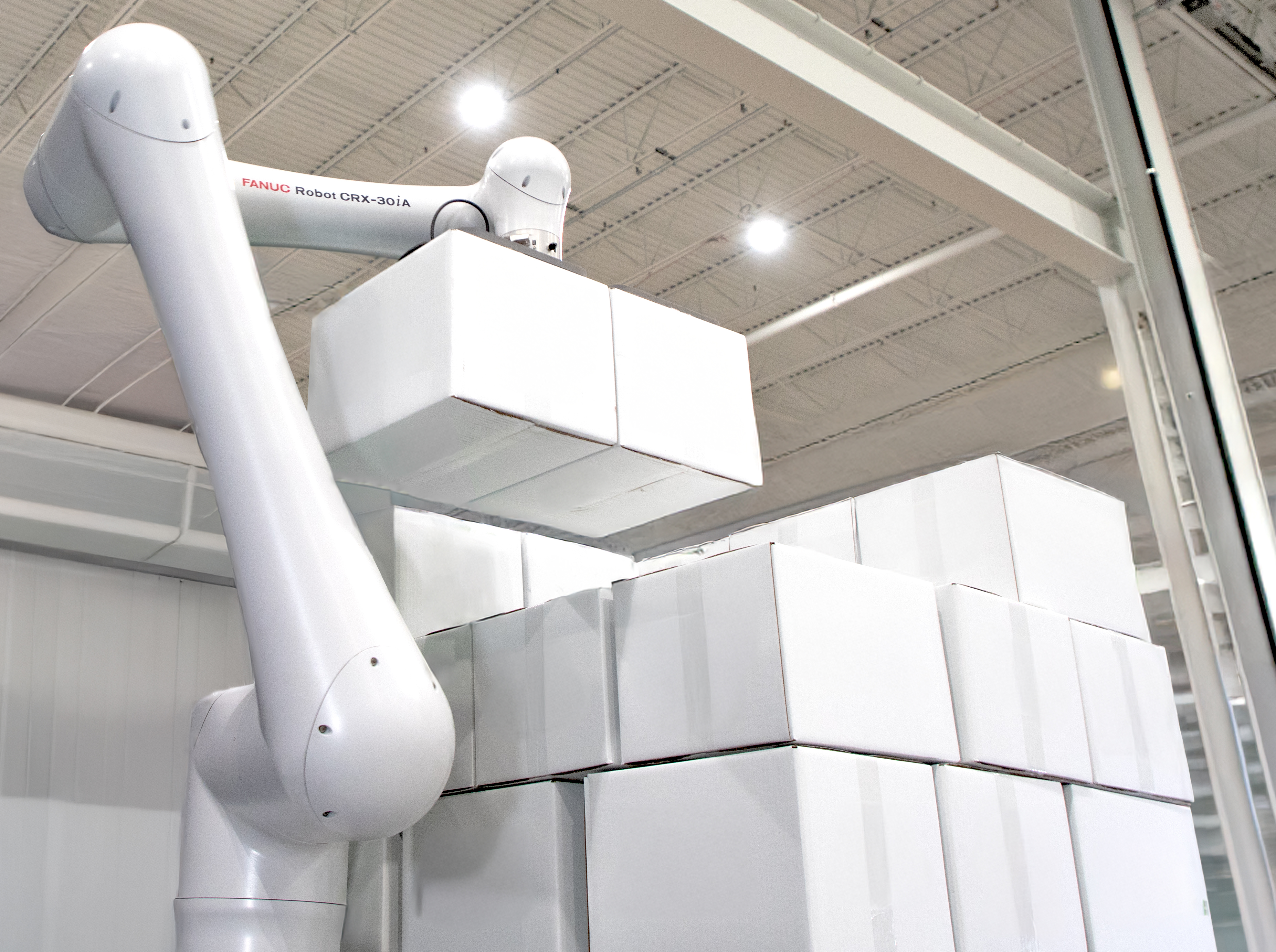 FANUC CRX-30iA Food Grade cobot palletizing boxes