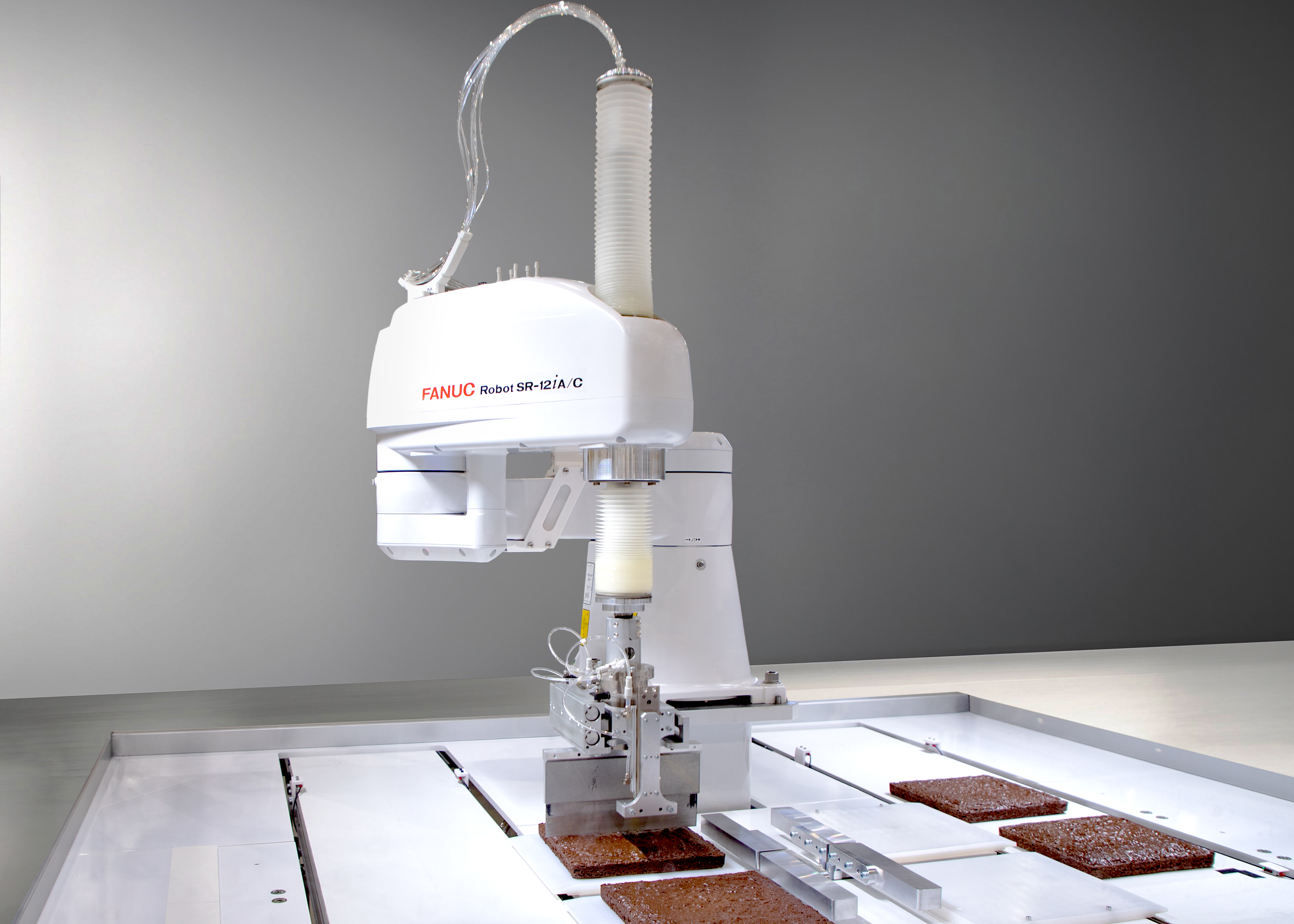 SR 12i A C Precision Cake Slicing
