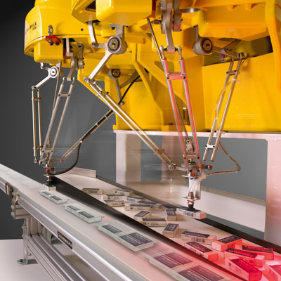 M-1iA Robots Picking Conveyor