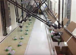 M 2ia pouch picking packing