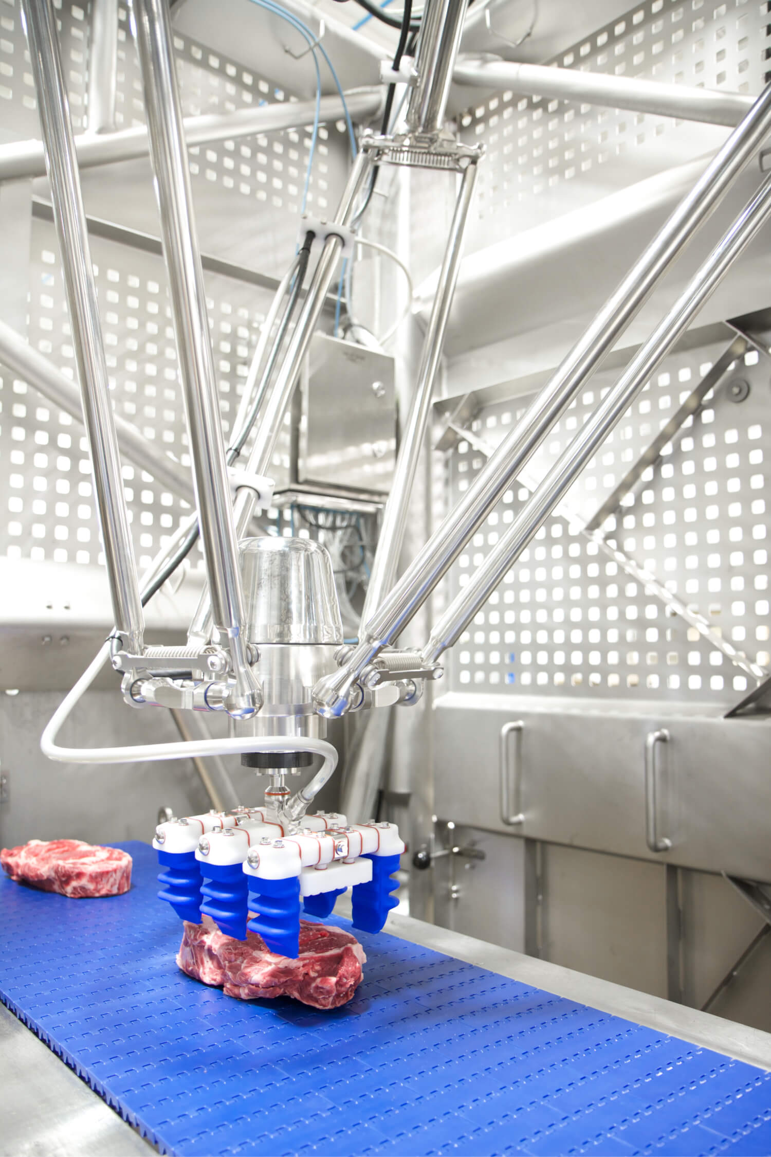 Dr 3ib6 meat packaging