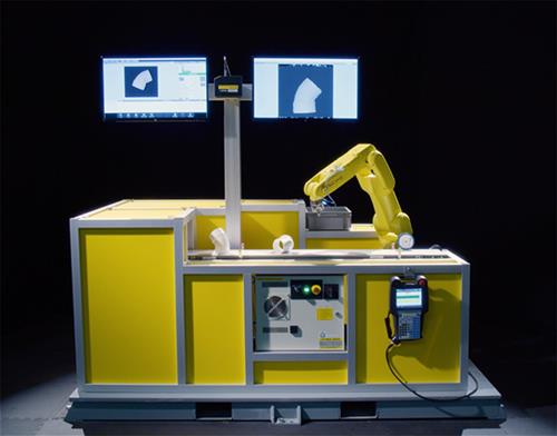 Automation Solutions that Redefine Productivity | FANUC America