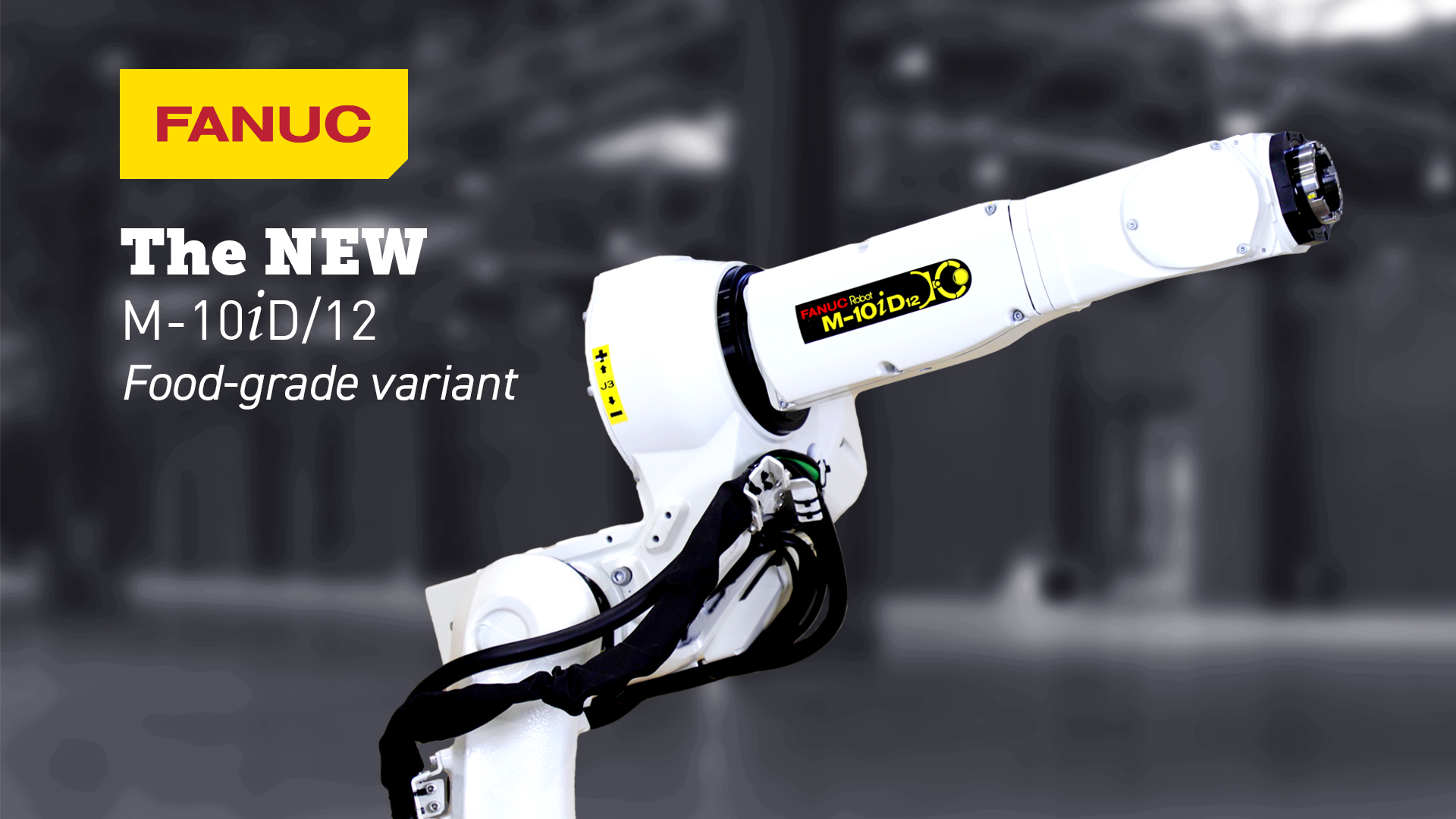 M-10iD/12 Food Grade | FANUC America