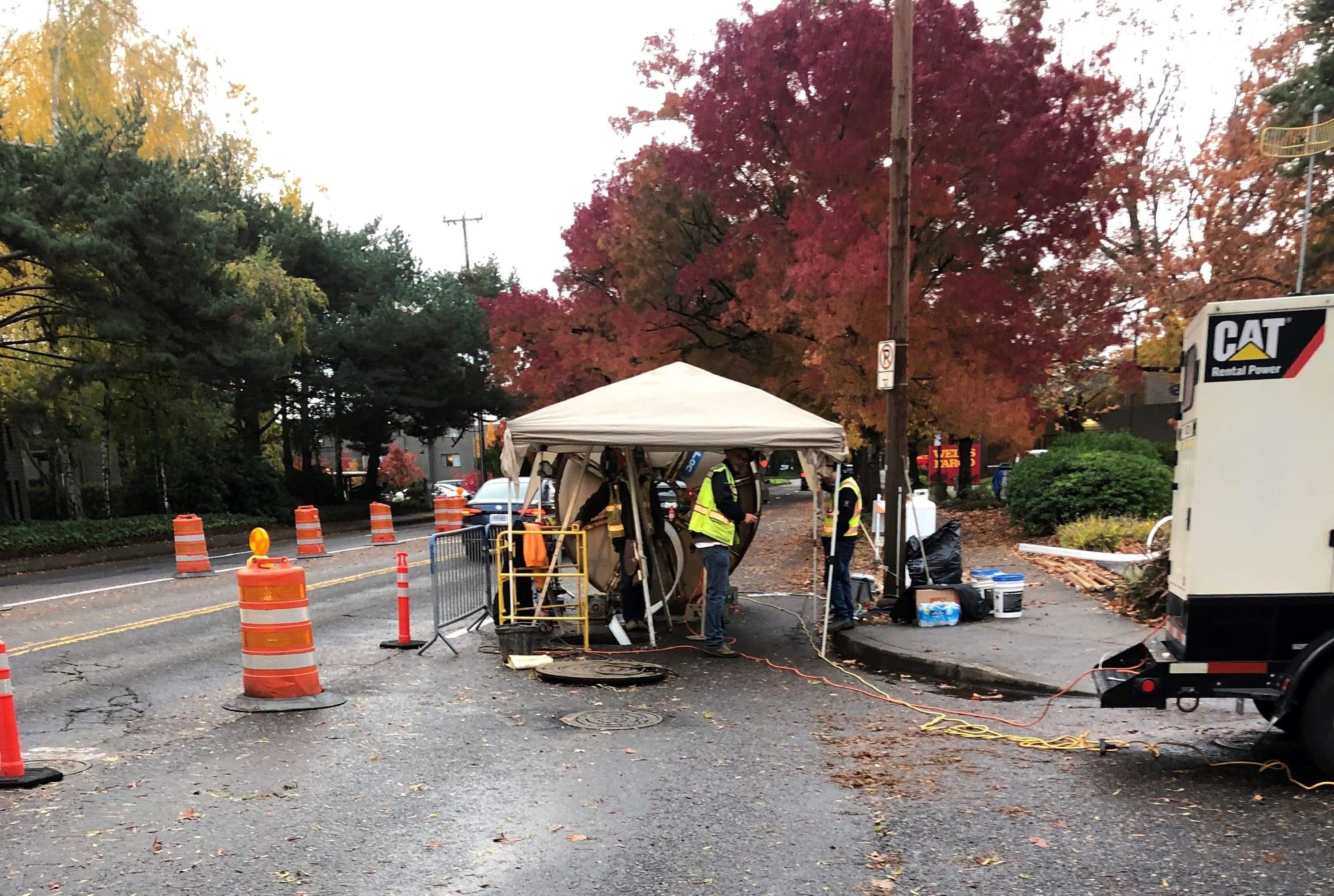 5 RO Carolina Trunk Case Study front page image 241118