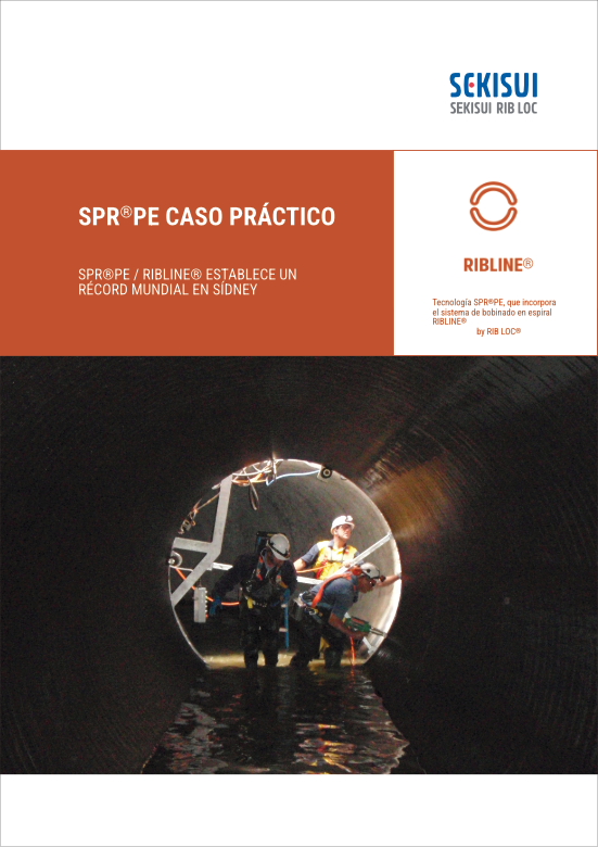 7 Case Study PE NGRS 250916 es