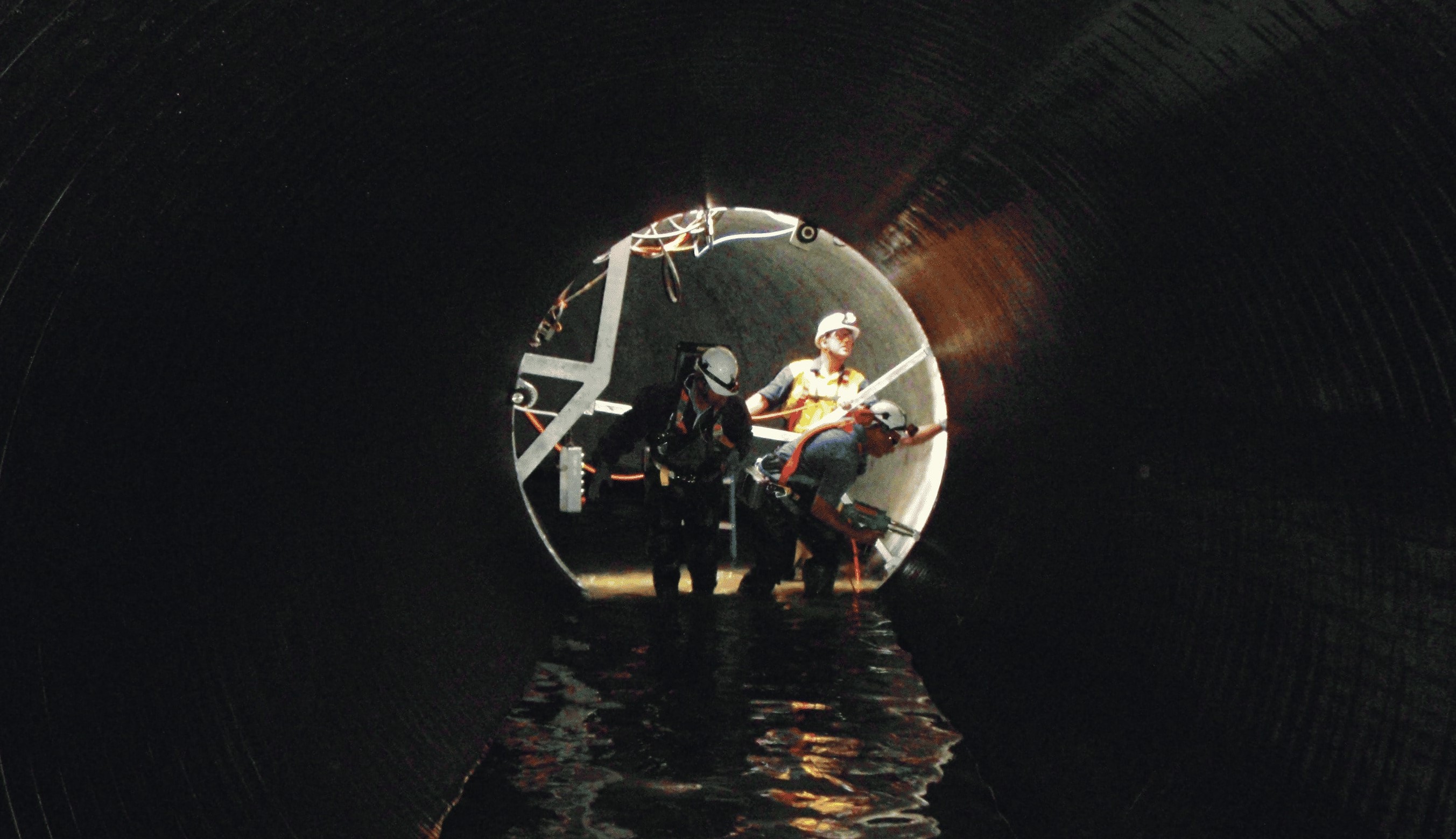 7 PE NGRS Case Study front page image 241118