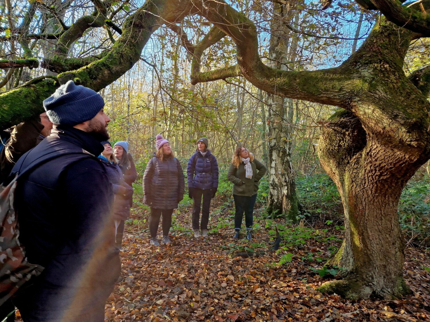 Group of people in winter coats standing beneath large twisted tree branches in woodland setting with fallen leaves on ground.