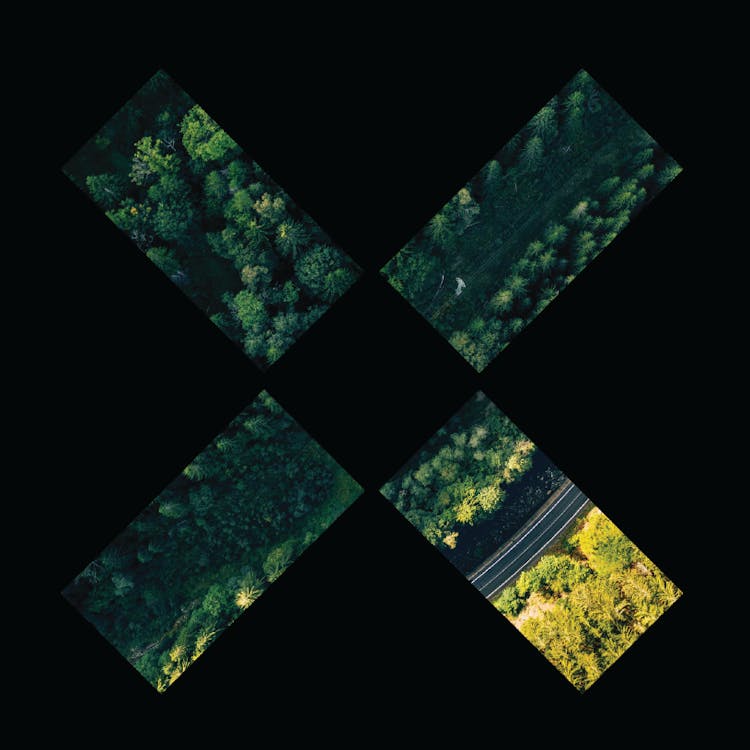 Four diamond-shaped aerial images arranged in cross formation on black background. Green forest canopy fills most shapes, with yellow field and road visible in bottom right diamond.