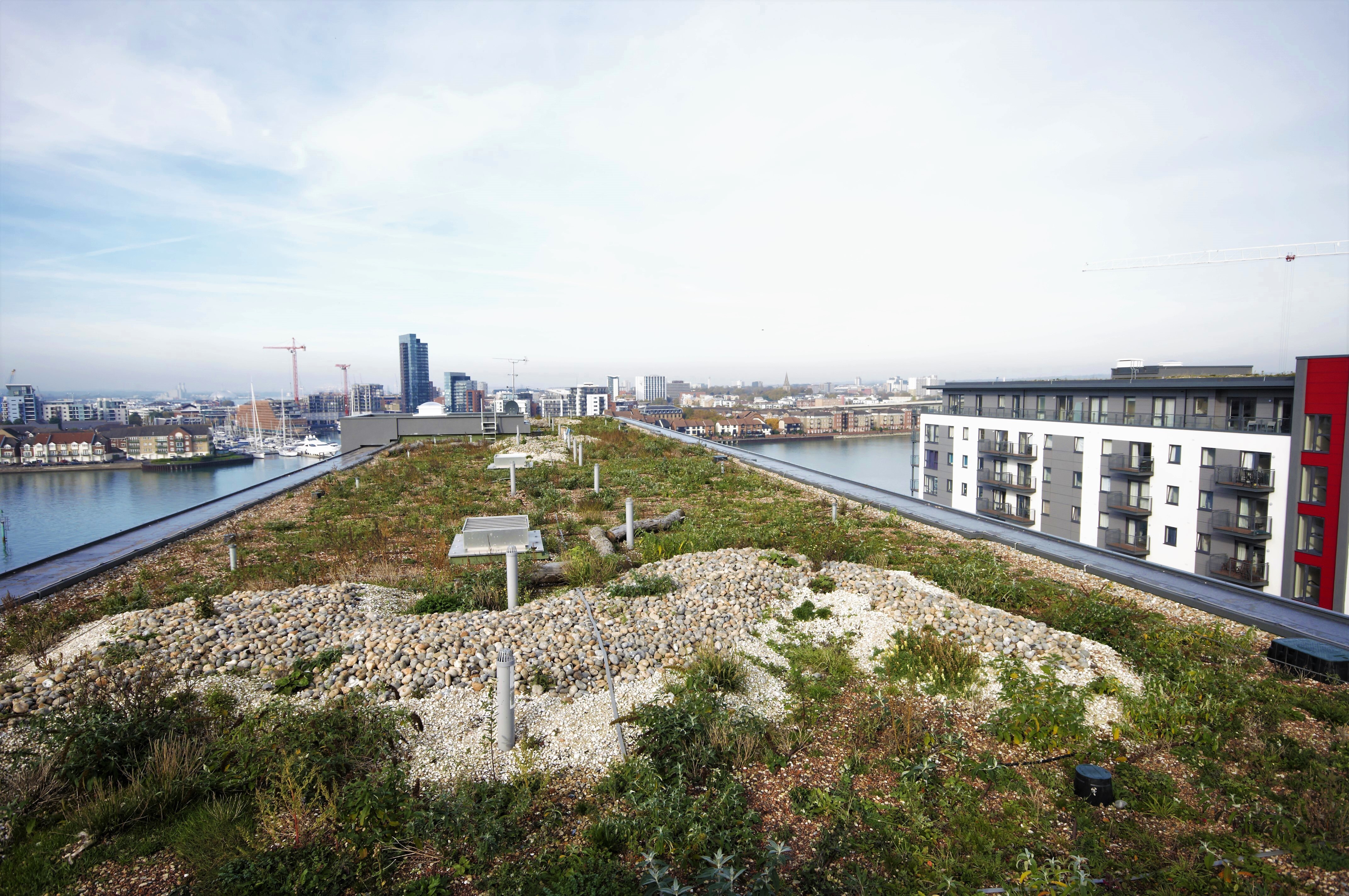 Green rooftop garden with vegetation patches, gravel areas, and walkways overlooking urban waterfront with white buildings and cloudy sky.