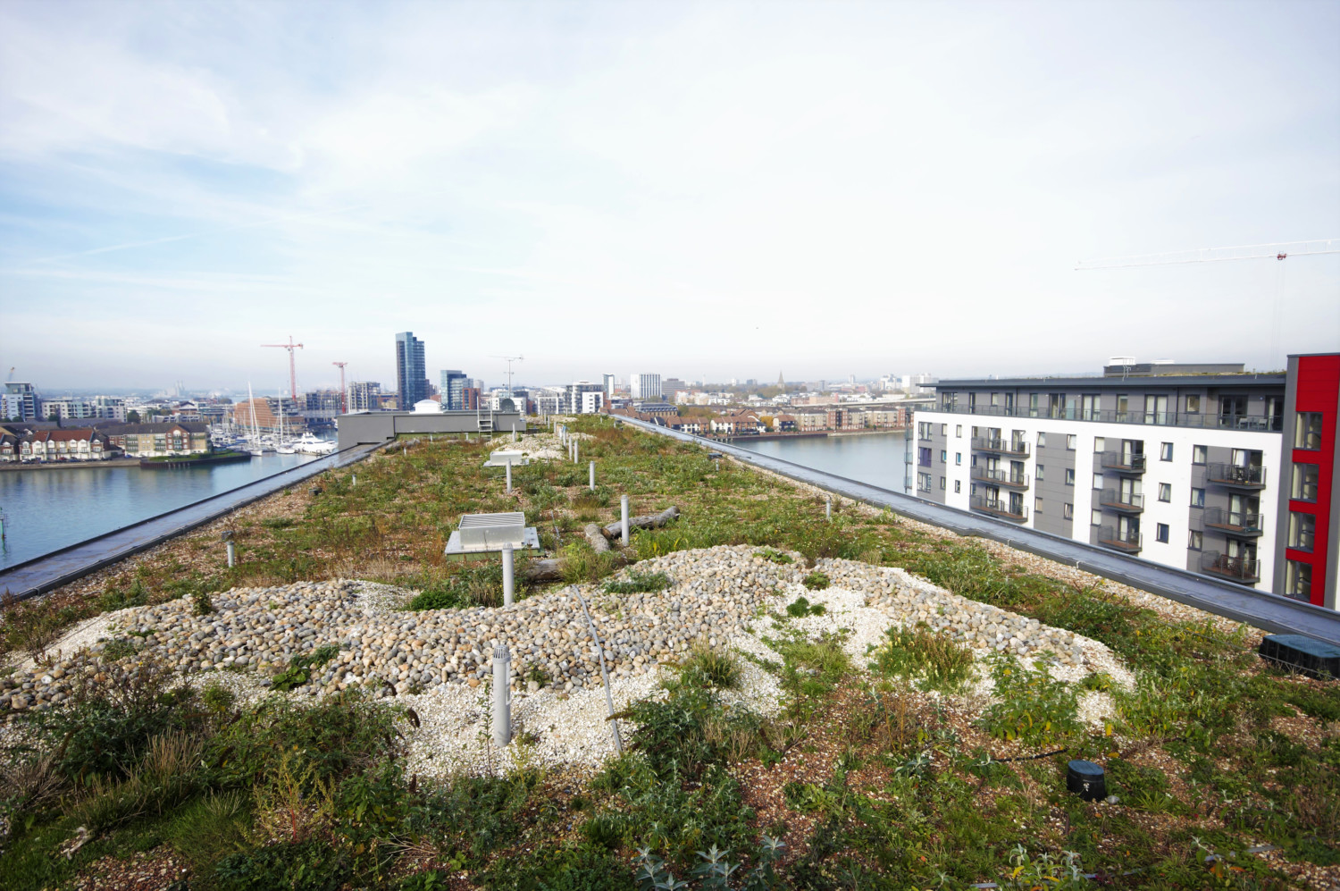 Extensive green roof with grass, shrubs and gravel patches. Modern apartment blocks visible on right, city skyline in distance under cloudy sky.