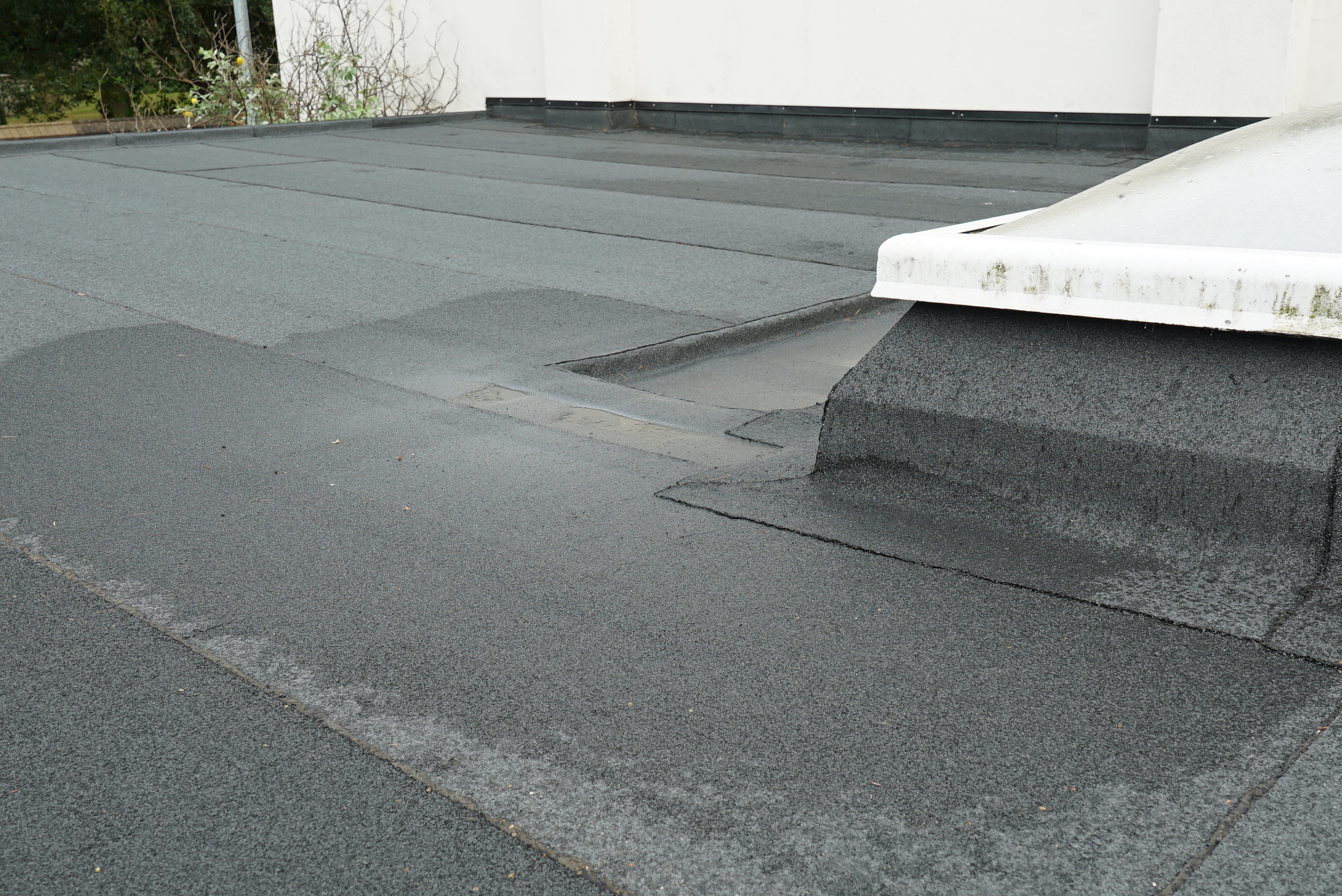 Green felt roofing membrane with white foam insulation visible at edge, flat roof surface with overlapping seams and joints.