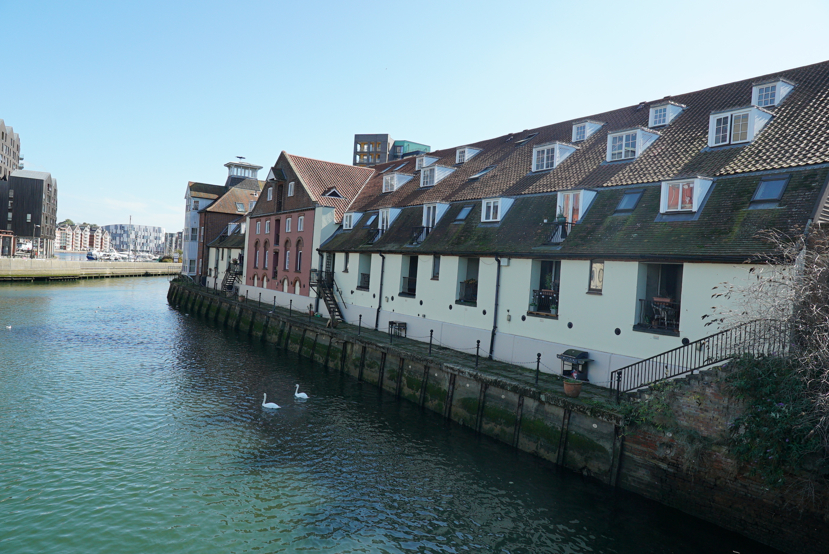 Row of white and brick terraced houses with green awnings along waterfront, two swans swimming in foreground, clear blue sky above.