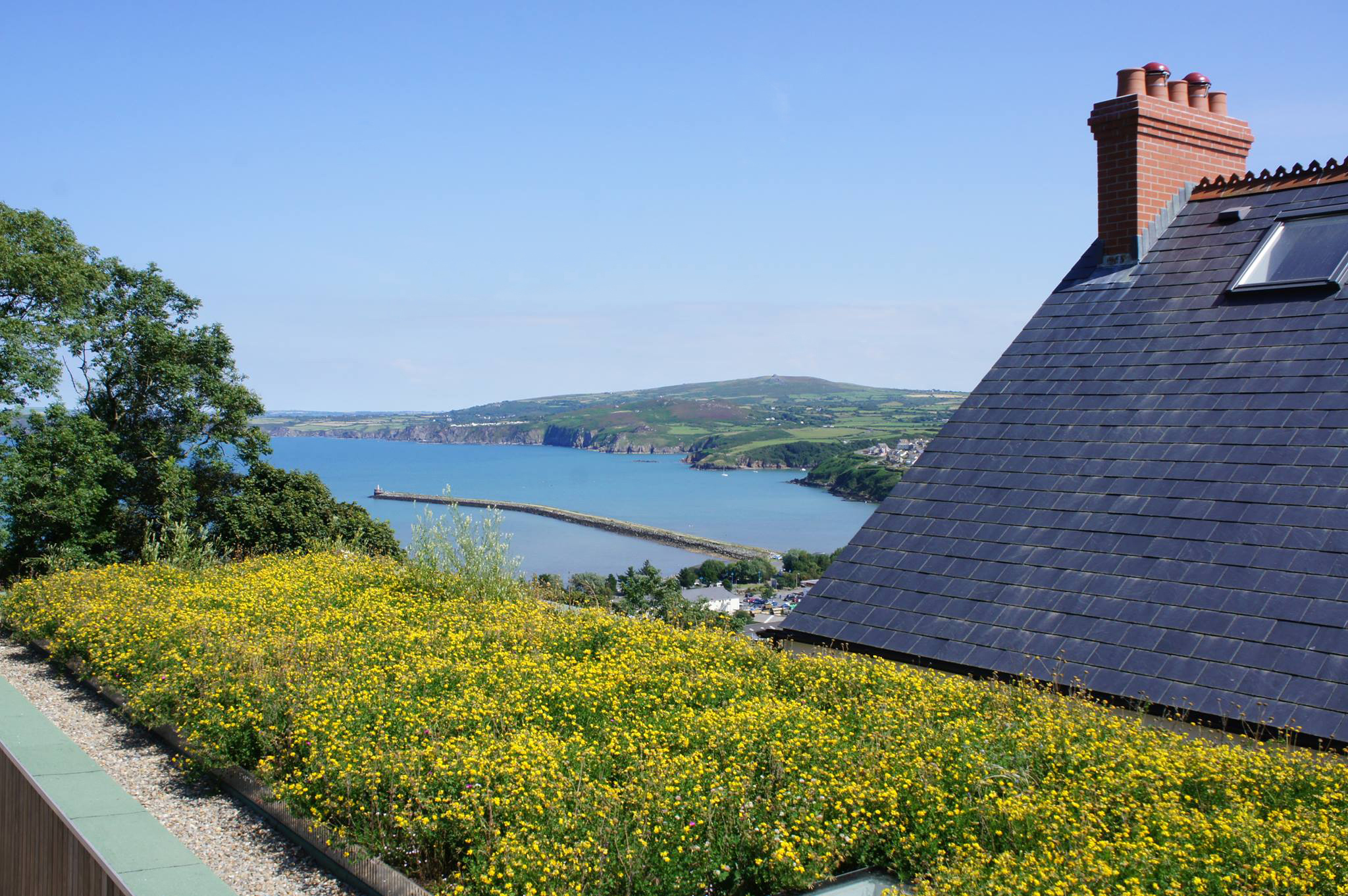 Slate roof with chimney stacks overlooks coastal bay. Yellow flowering plants cover foreground, green hills and blue water visible beyond.