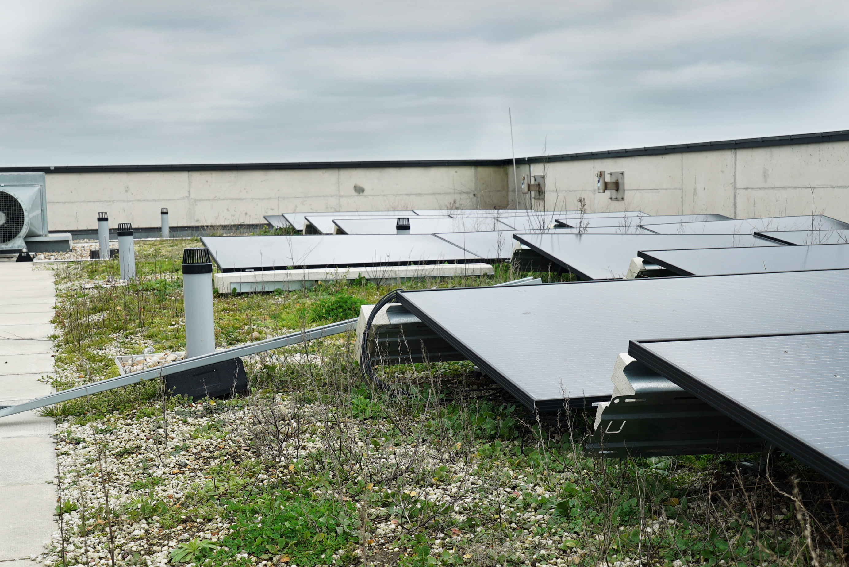 Solar panels mounted on a flat rooftop with a green sedum roof, overcast sky in the background.