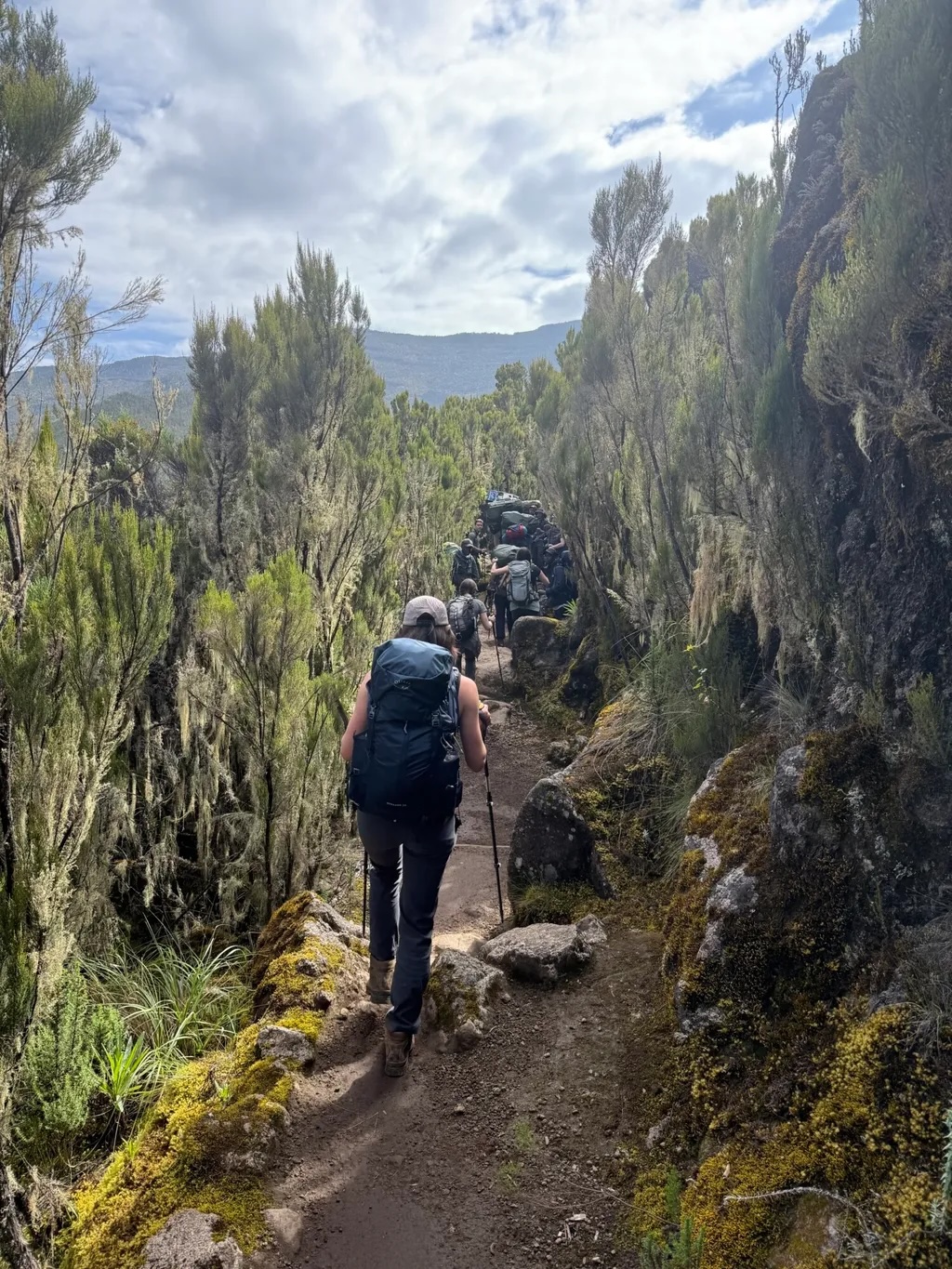 Hikers with rucksacks walking single file on narrow mountain path through dense green vegetation under cloudy sky with hills in distance.