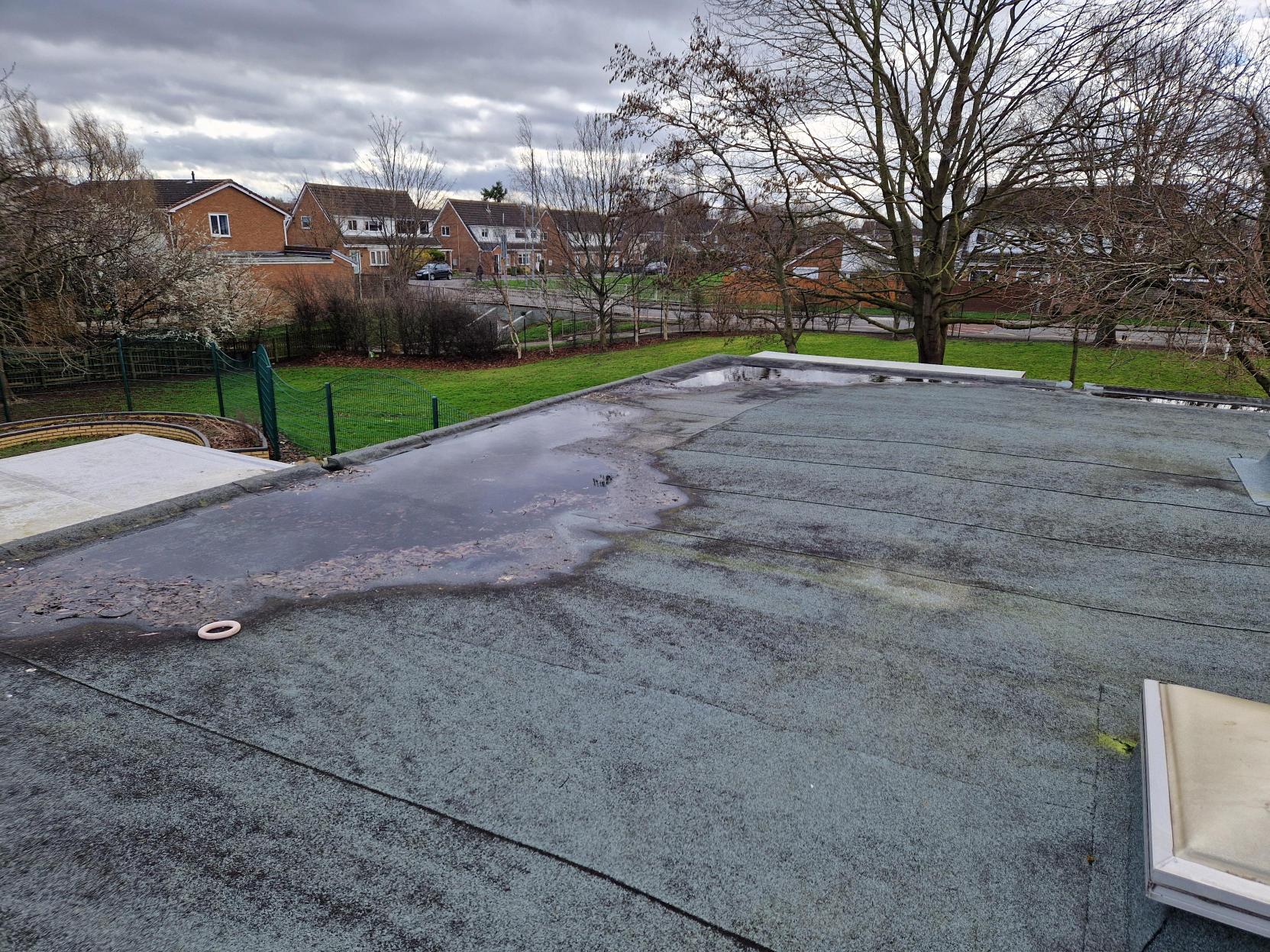 Flat roof surface with puddles, overlooking residential houses and bare winter trees under overcast sky.