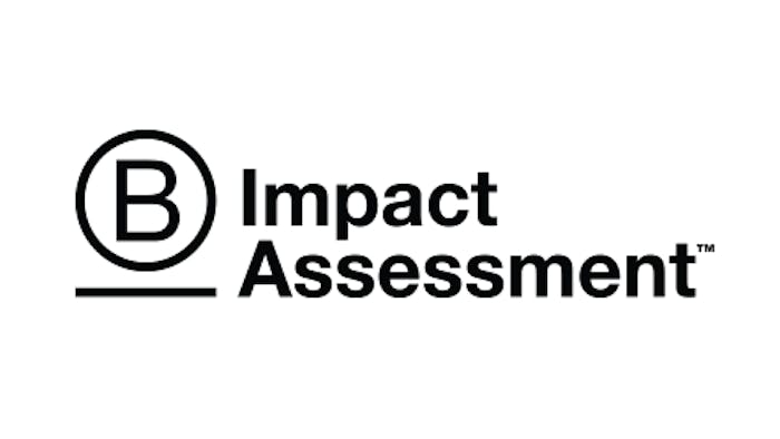 Black circular logo with letter "B" next to text "Impact Assessment" with horizontal line underneath on white background.
