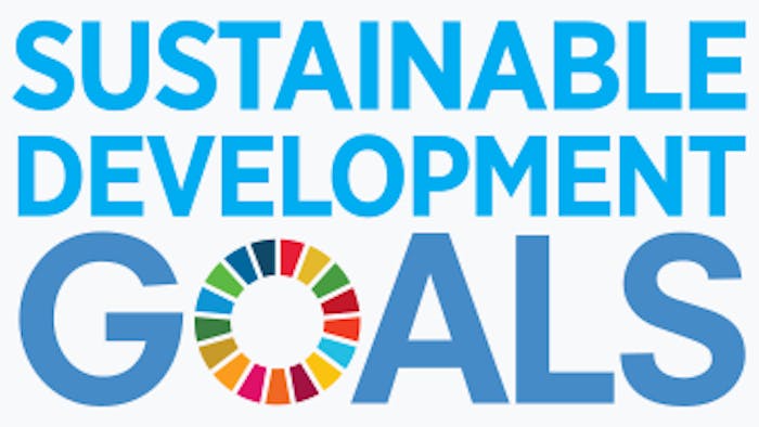 Blue text reading "SUSTAINABLE DEVELOPMENT GOALS" with circular multicoloured wheel icon replacing the "O" in "GOALS"