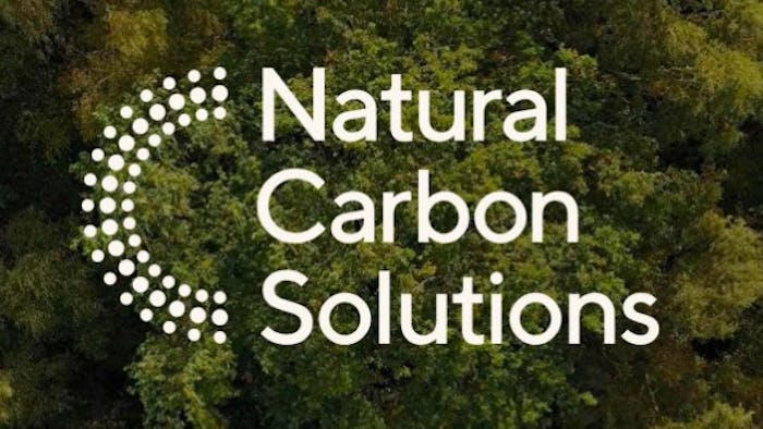 White dotted circular logo and "Natural Carbon Solutions" text overlaid on aerial view of dense green forest canopy.