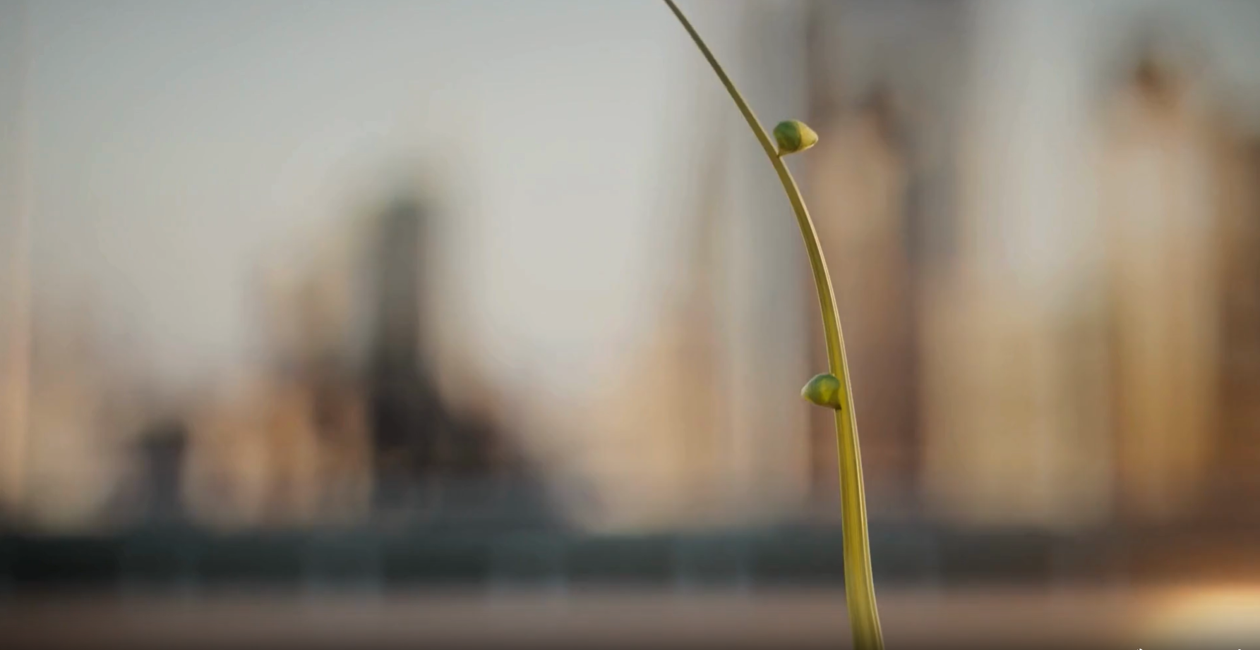 Green plant stem with small bud emerging from soil against blurred background of brown and beige tones.