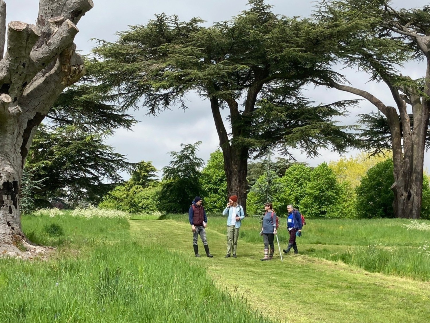 Four people standing on mown grass path through longer grass field, with large mature trees and cloudy sky in background.