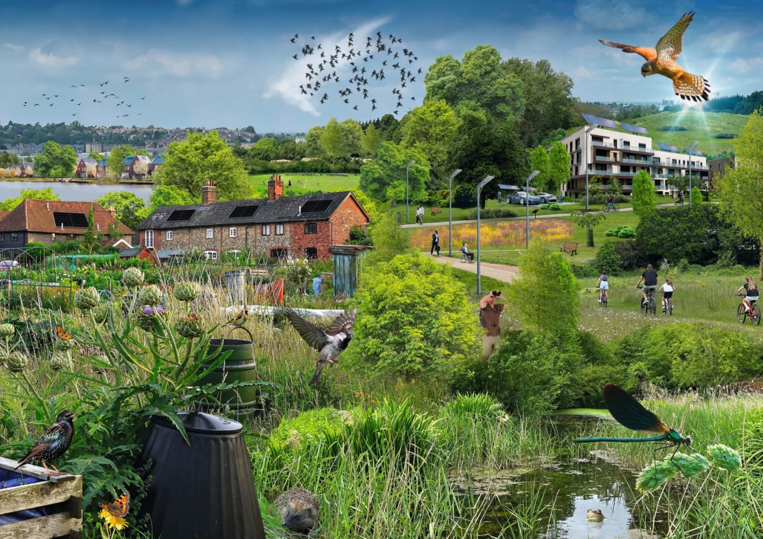 Green countryside scene with pond, houses, modern buildings, flying birds, and people walking on paths under blue sky with clouds.