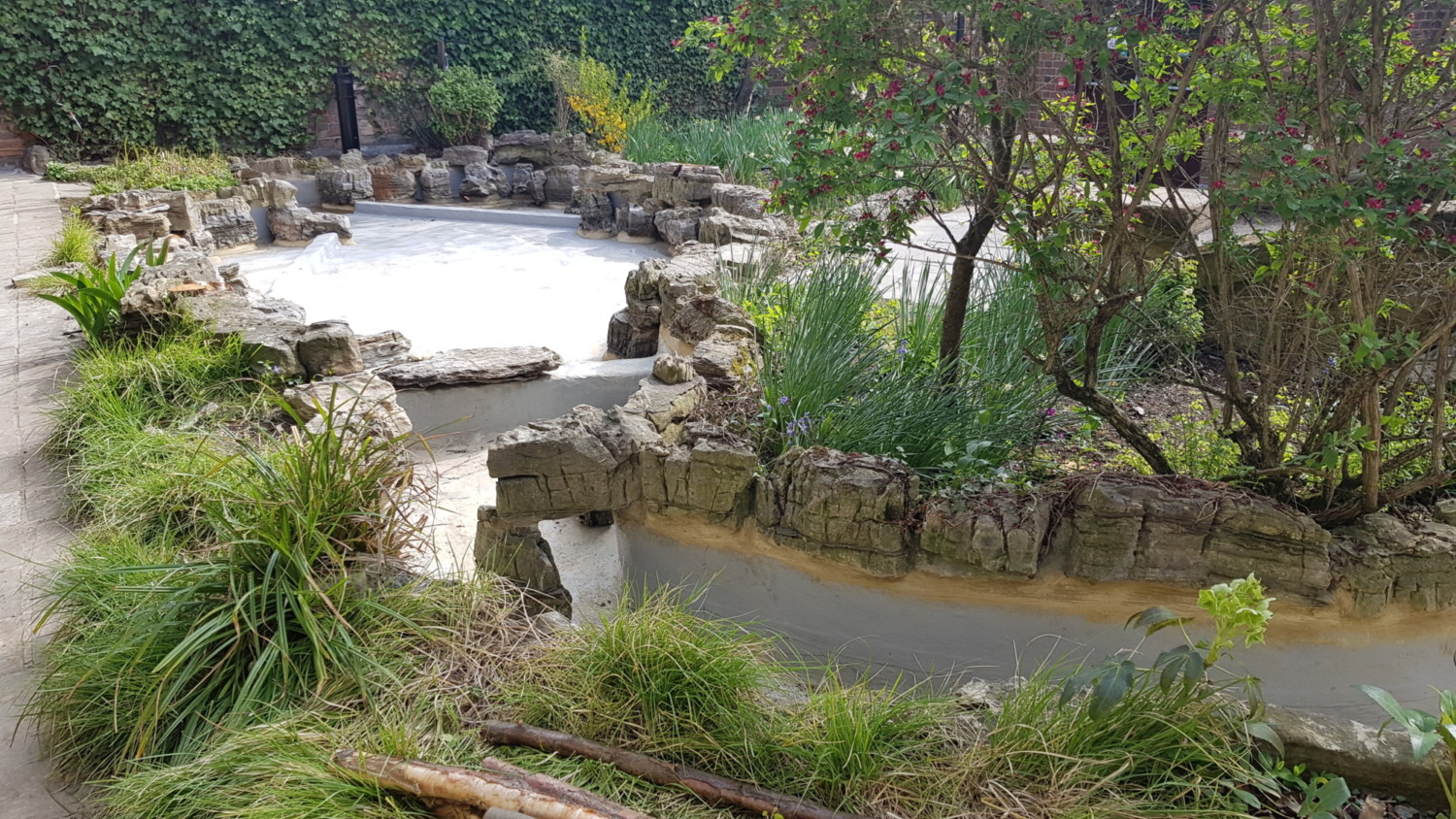 Stone-lined pond with murky water, surrounded by green vegetation and trees, with paved walkway and rock formations visible.