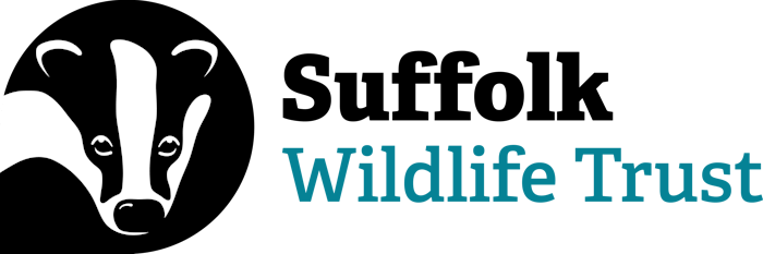 White badger head silhouette with curved stripes on black background, blue-green text "Wildlife Trust" to the right.