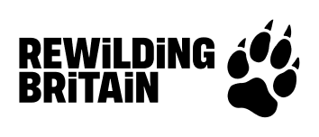 Black rectangular image with no visible content or elements.