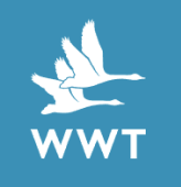 White silhouettes of two flying birds above white "WWT" text on teal blue square background.
