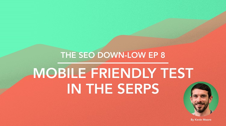 SEO Down Low Episode 8