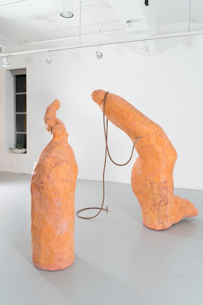 Installation image of Ripe at Dawn Part 1: Sculpture MFA Thesis Show Group 1