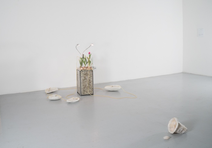 Installation image of Ripe at Dawn Part 1: Sculpture MFA Thesis Show Group 1