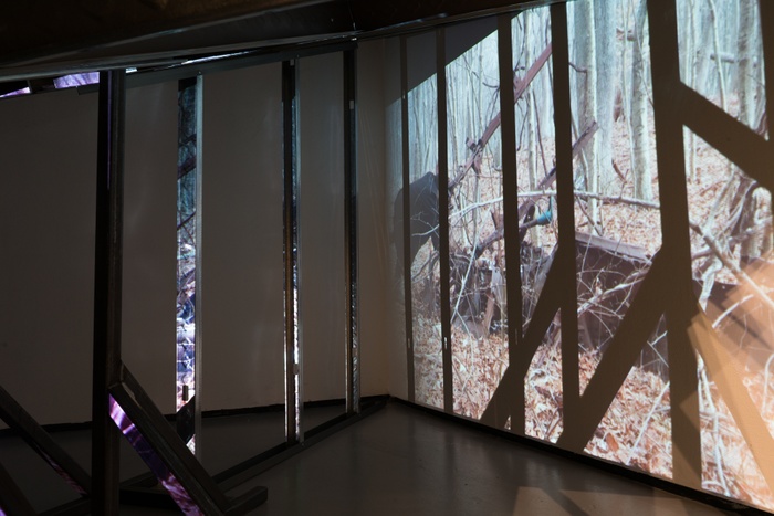 Installation image of Ripe at Dawn Part 1: Sculpture MFA Thesis Show Group 1