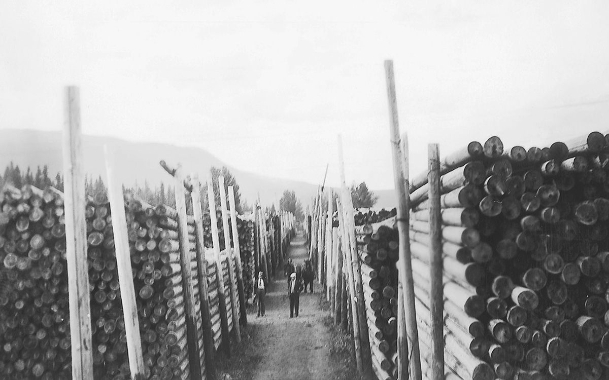 100 Years Blog Cover