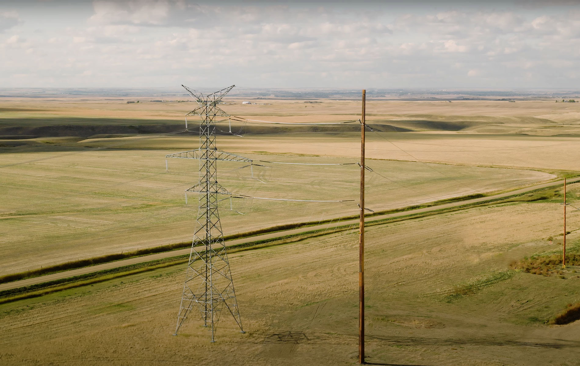 BLP Canadian Solar Farm Pole