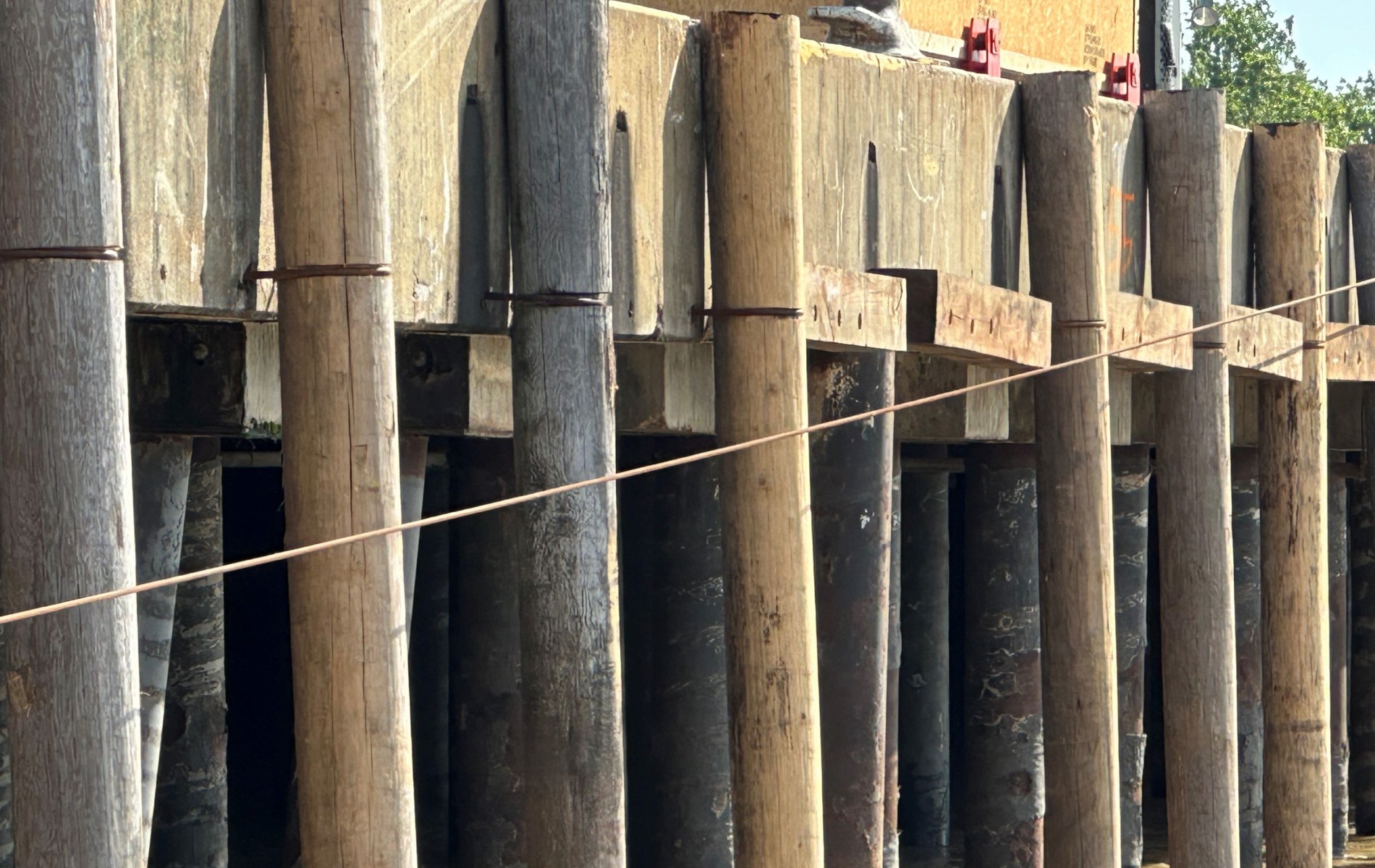 Piling & Posts - Bell Lumber & Pole