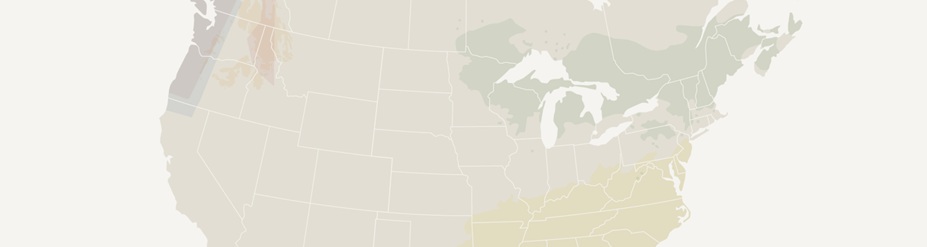 Diversified system map 3000x800