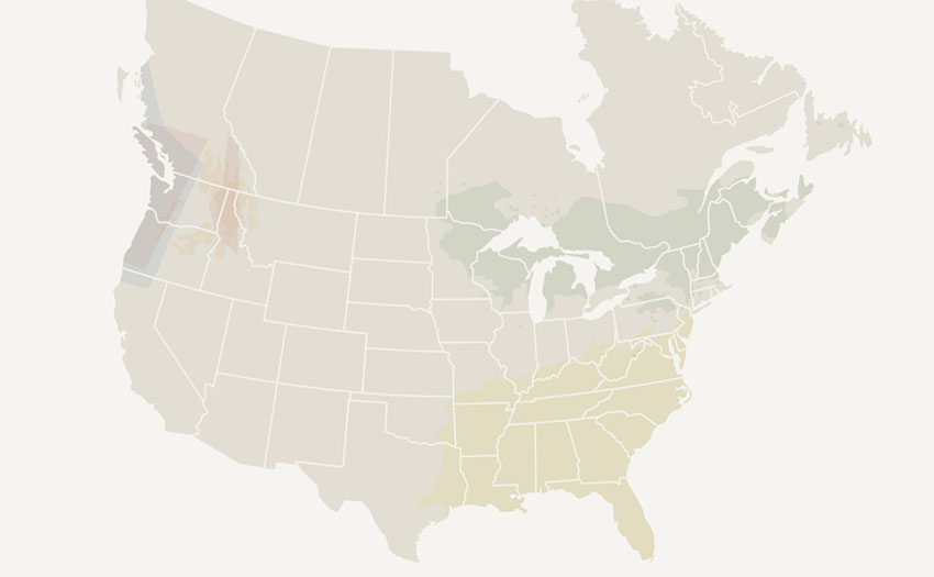 Diversified system map 850x525
