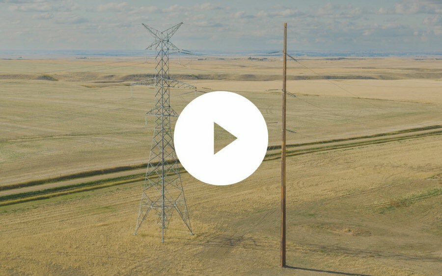 Bell Manufactures its Tallest Engineered Wood Structure to Date